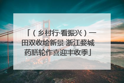 （乡村行·看振兴）一田双收绘新景 浙江婺城药膳轮作喜迎丰收季