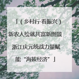 （乡村行·看振兴）新农人绘就共富新图景 浙江庆元统战力量赋能“海拔经济”