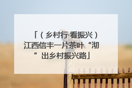 （乡村行·看振兴）江西信丰一片茶叶“沏”出乡村振兴路