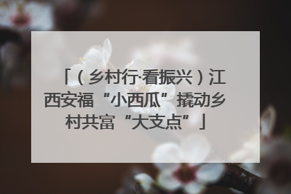 （乡村行·看振兴）江西安福“小西瓜”撬动乡村共富“大支点”