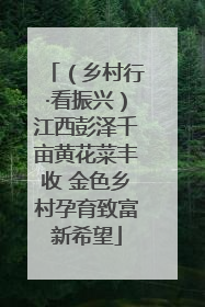 （乡村行·看振兴）江西彭泽千亩黄花菜丰收 金色乡村孕育致富新希望