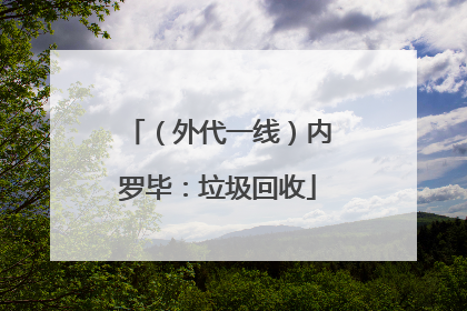 （外代一线）内罗毕：垃圾回收