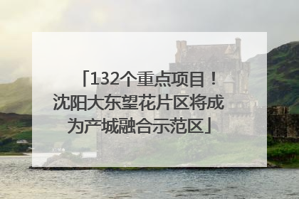 132个重点项目！沈阳大东望花片区将成为产城融合示范区