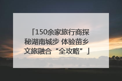 150余家旅行商探秘湖南城步 体验苗乡文旅融合“全攻略”
