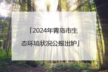 2024年青岛市生态环境状况公报出炉