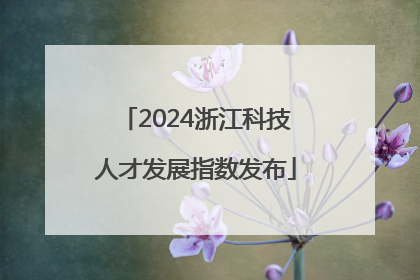 2024浙江科技人才发展指数发布