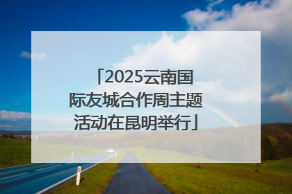 2025云南国际友城合作周主题活动在昆明举行