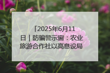 2025年6月11日｜防骗警示窗：农业旅游合作社以高息设局，集资380万