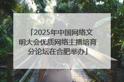 2025年中国网络文明大会优质网络主播培育分论坛在合肥举办
