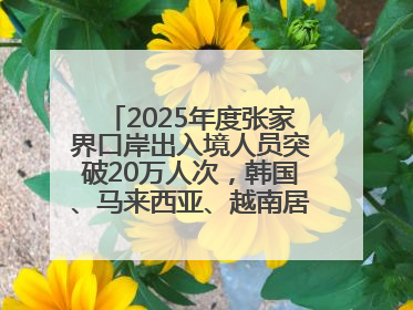2025年度张家界口岸出入境人员突破20万人次，韩国、马来西亚、越南居客源国前三