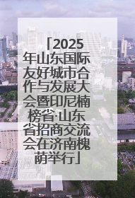 2025年山东国际友好城市合作与发展大会暨印尼楠榜省·山东省招商交流会在济南槐荫举行
