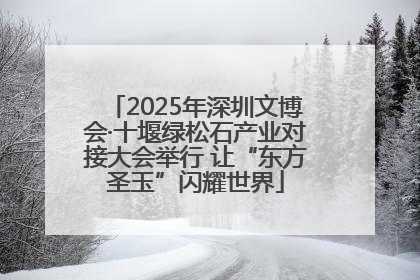 2025年深圳文博会·十堰绿松石产业对接大会举行 让“东方圣玉”闪耀世界