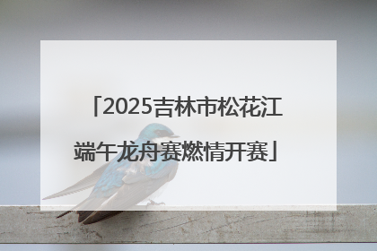 2025吉林市松花江端午龙舟赛燃情开赛