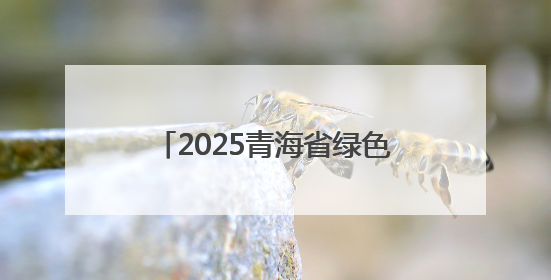 2025青海省绿色智能焕新消费季暨青海建行“家装节”启幕