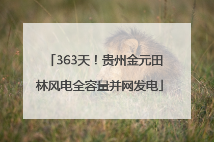 363天！贵州金元田林风电全容量并网发电
