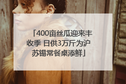 400亩丝瓜迎来丰收季 日供3万斤为沪苏锡常餐桌添鲜