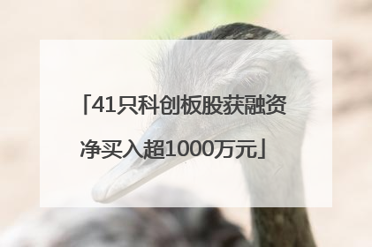 41只科创板股获融资净买入超1000万元