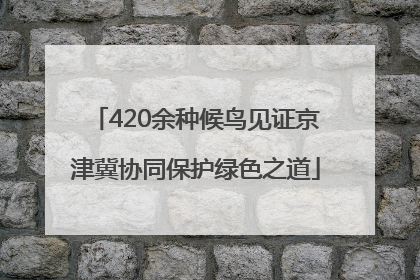 420余种候鸟见证京津冀协同保护绿色之道