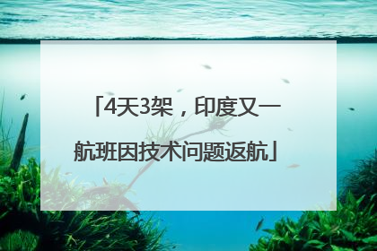 4天3架，印度又一航班因技术问题返航