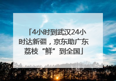 4小时到武汉24小时达新疆，京东助广东荔枝“鲜”到全国