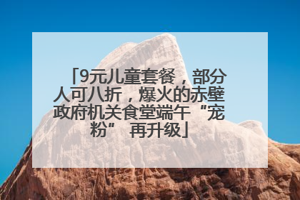 9元儿童套餐，部分人可八折，爆火的赤壁政府机关食堂端午“宠粉” 再升级