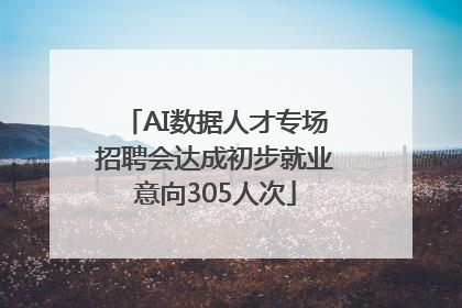 AI数据人才专场招聘会达成初步就业意向305人次