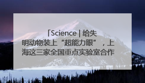 Science | 给失明动物装上“超能力眼”，上海这三家全国重点实验室合作开发新一代视觉假体