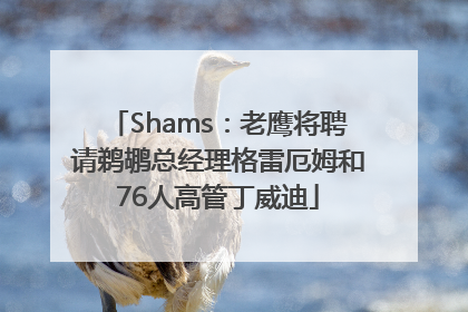 Shams：老鹰将聘请鹈鹕总经理格雷厄姆和76人高管丁威迪